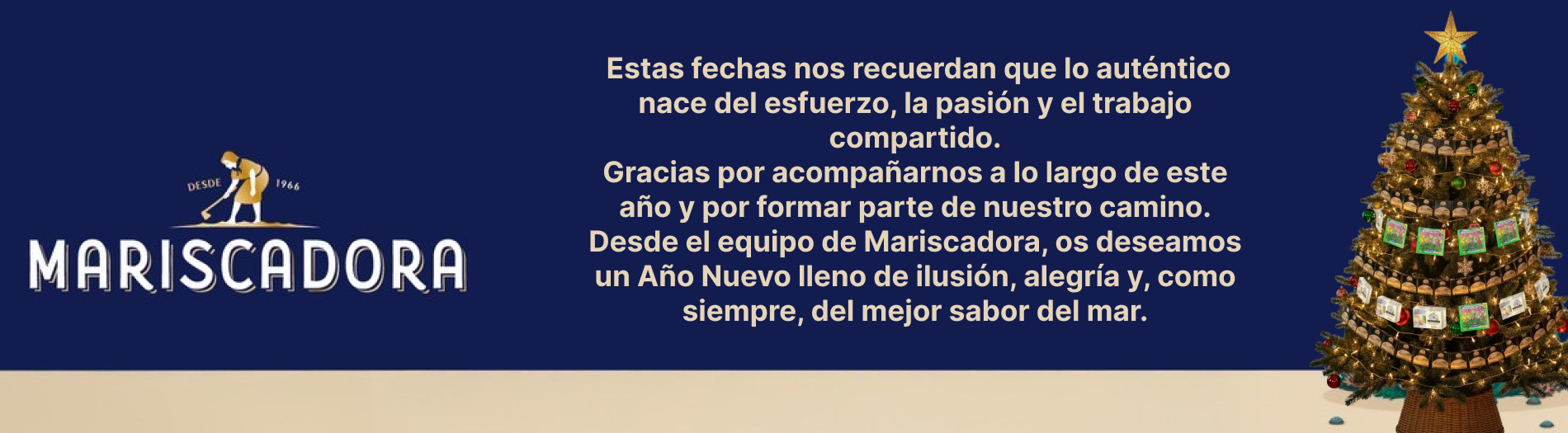 Información importante · Navidad 2025